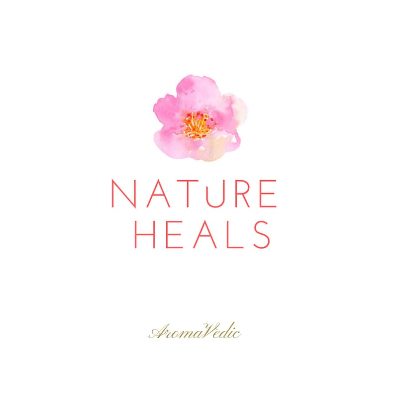 Op de afbeelding: Een aquarel-illustratie van een roze bloem met een gele kern. De tekst "NATURE HEALS" is in rood onder de bloem geschreven. De tekst "AromaVedic" is in goud onder de tekst "NATURE HEALS" geschreven.