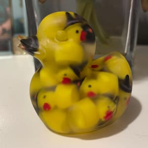 Witchy Duck