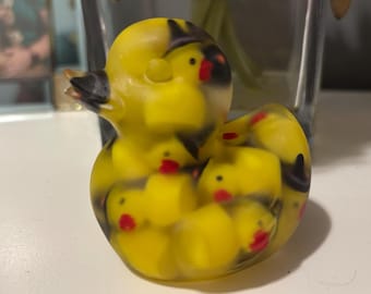 Duck of Witchy Ducks