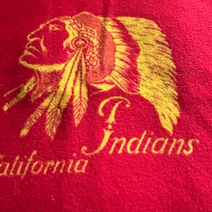 Vintage 1930s Pendleton Wool Blanket: California Indians, Trapshooting Champions