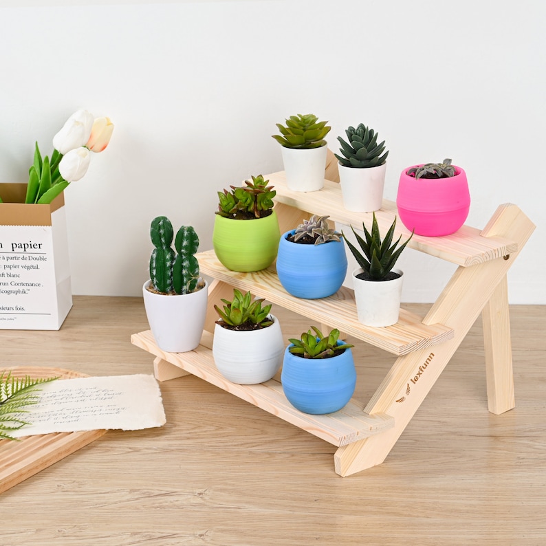 May include: A wooden tiered plant stand with six potted plants. The stand has three shelves and is made of natural wood. The plants are a variety of succulents and cacti in white, green, blue, and pink pots.