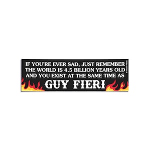 Sad Guy Fieri Bumper Sticker: Funny Meme, Y2K Retro Car Decal