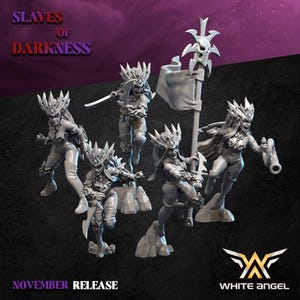Daughters of the Shadow Realm | Slaves of Darkness | Tabletop Miniature Wargaming Grim-Dark Sci-Fi Fantasy DnD OnePageRules Proxy