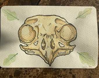 Owl Skull 4x6” Postcard