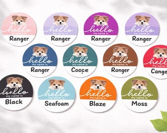 Custom Pet ID Tag – Personalized Waterproof Collar Tag