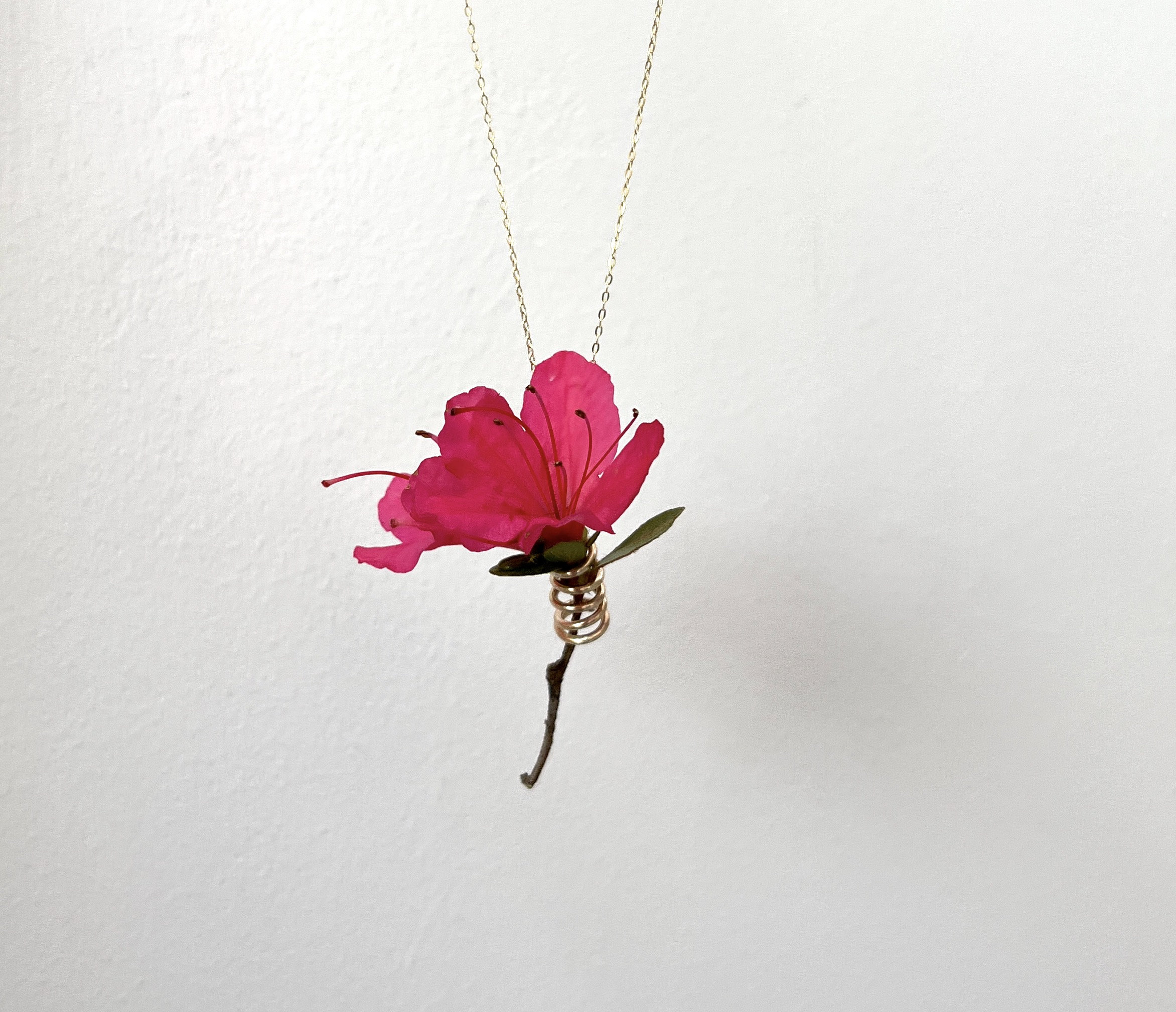 Rachel pfeffer etsy clearance
