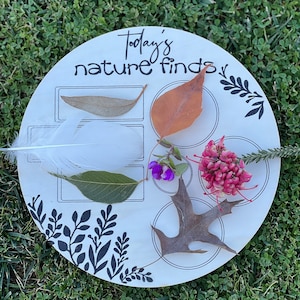 Nature Finds Board