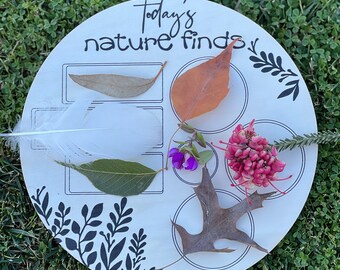 Tablero de hallazgos de la naturaleza
