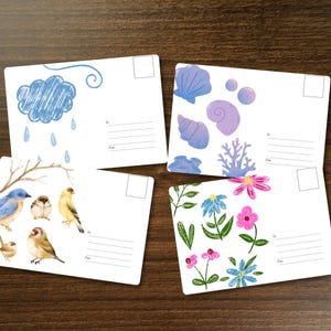 May include: Four rectangular postcards featuring distinct illustrations: one with a blue sketched cloud and raindrops, one with purple seashells and coral, one with various small birds on branches, and one with colorful hand-drawn flowers and green leaves.