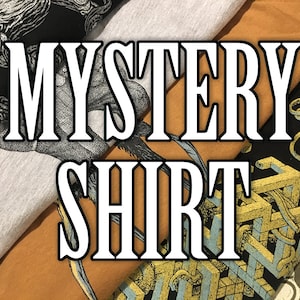 SALE SHIRT Mystery Shirt - Men&#39;s Shirt - Sale Items Discount Fun Shirt Fun Gifts Grab Bag Scatterbrain Tees Mystery T-shirt Sale
