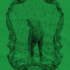 A drawing of a sad frog standing in the rain, surrounded by an ornate border. Screen printed onto a kelly green, Next Level brand T-shirt.