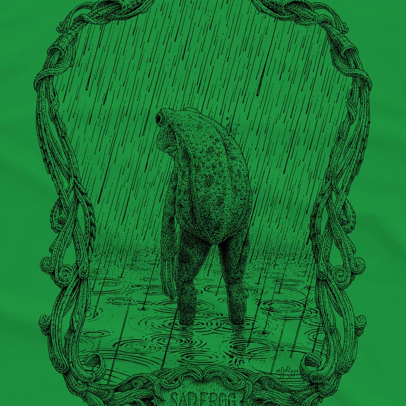 A drawing of a sad frog standing in the rain, surrounded by an ornate border. Screen printed onto a kelly green, Next Level brand T-shirt.
