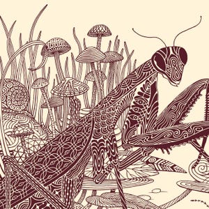 An intricate drawing of a praying mantis and other insects in a forest setting. The drawing consists of many detailed patterns and lines.