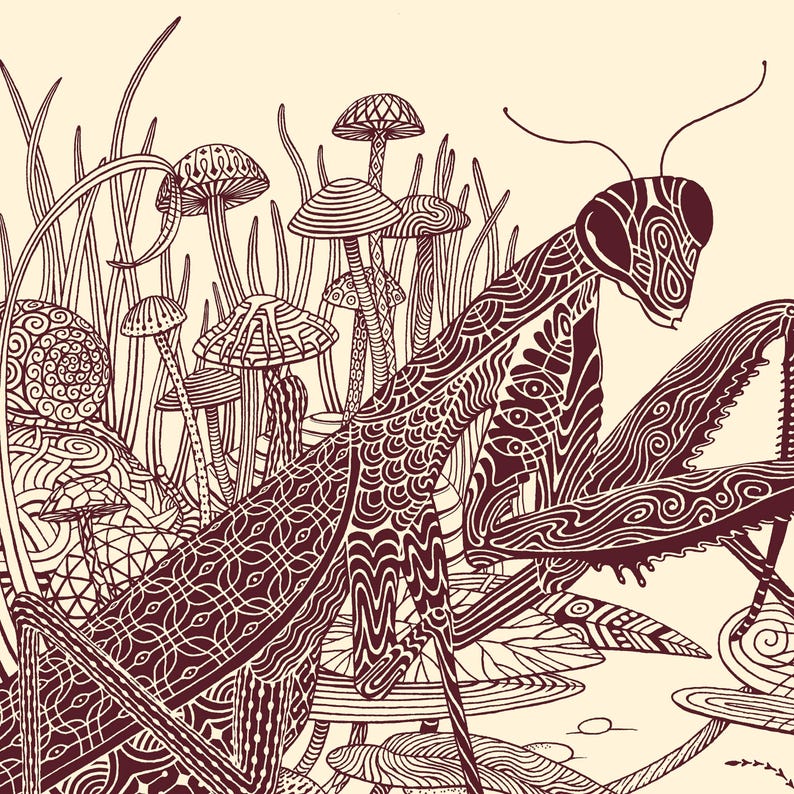 An intricate drawing of a praying mantis and other insects in a forest setting. The drawing consists of many detailed patterns and lines.