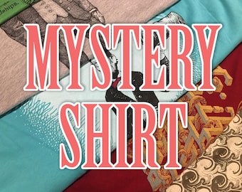 MYSTERY SHIRT Sale Shirt - Women's Shirt - Shirt Fun Gift Grab Bag Sale Items Tshirt Women Fun Scatterbrain Tees Mystery T-shirt Sale