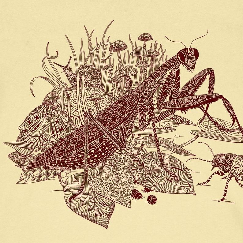 Heavily patterned leaves, grass and mushrooms surrounded by an equally patterened moth, snail, beetle and praying mantis. All printed on a soft womens cut tshirt.