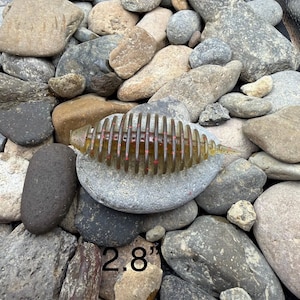 Peut inclure: Un leurre de pêche en plastique souple de 7,1 cm de long, de couleur marron translucide avec des accents rouges. Le leurre repose sur une pierre grise, entouré de roches grises et brunes de différentes tailles.