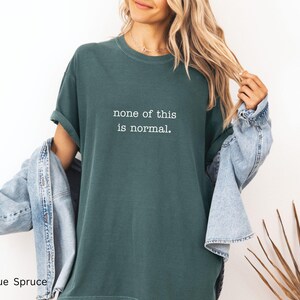 Anti ICE Shirt | Minimalist Anti Trump Shirt | Abolish ICE Protest Shirt | Subtle Anti Trump TShirt
