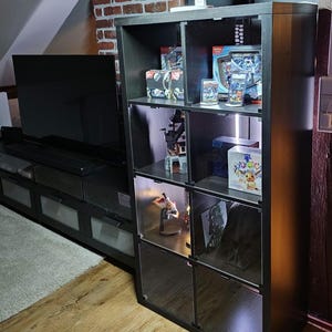 Los paneles de vidrio acrílico Kallax de Ikea como insertos para vitrinas (magnéticos, juego completo) encajan en los estantes Kallax: protegen contra el polvo y las mascotas de forma segura.