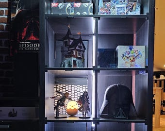 Ikea Kallax acrylic glass panels as display case inserts (magnetic, complete set) fit into Kallax shelves - protects against dust and pets safely.