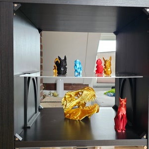 Puede incluir: Una estantería negra con un estante de vidrio que muestra una calavera de dinosaurio dorada, una figura de gato roja y cinco pequeñas figuras de colores. Las figuras son un perro negro, una forma geométrica azul, una figura roja y amarilla y una figura roja y amarilla con cola.