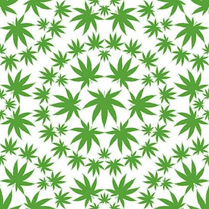 May include: A repeating pattern of green cannabis leaves on a white background. The leaves vary in size and are arranged in a radial design, creating a symmetrical and visually appealing composition. The image is a flat, graphic illustration.
