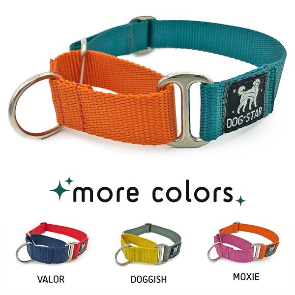 Martingale Collar Greyhound Etsy