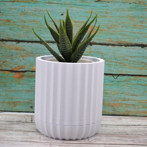 May include: A white ceramic planter with a ribbed design, featuring a green succulent plant.