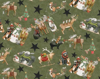 Riley Blake, Navidad del Norte por Teresa Kogut, Green Main, C17830, Tela de algodón 100% para acolchado