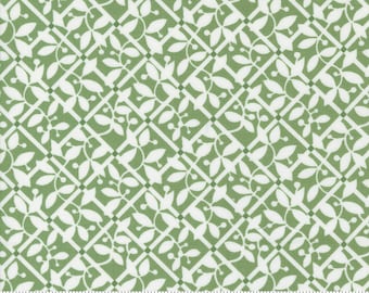 Moda Fabrics, Shoreline de Camille Roskelley, Hojas blanquecinas sobre verde, 55303-15, Tela de algodón 100% acolchada