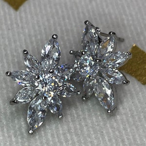 Zirconium stud Earrings