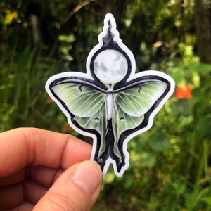 Luna Moth Pegatina / Pegatinas para Hydroflask / Regalos de Brujería / Luna Llena / Impermeable / Brujería / Calcomanía de Coche / Polilla Cráneo / Arte Gótico
