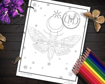 Death Moth Coloring Page / Moon Phase Printable / Digital Download / JPG Adult Coloring Pages / Crescent Moon Child / Skull / Mooncycle