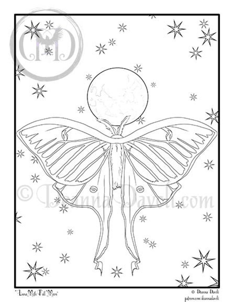 Luna Moth Coloring Page / Moon Phase Printable / Digital Download / JPG Adult Coloring Pages / Full Moon Child / Green Moth / Mooncycle image 2