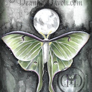 Luna Moth Coloring Page / Moon Phase Printable / Digital Download / JPG Adult Coloring Pages / Full Moon Child / Green Moth / Mooncycle image 3