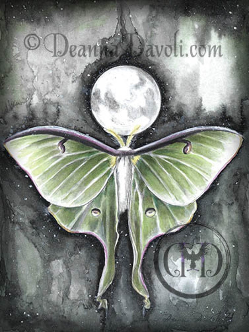 Luna Moth Coloring Page / Moon Phase Printable / Digital Download / JPG Adult Coloring Pages / Full Moon Child / Green Moth / Mooncycle image 3