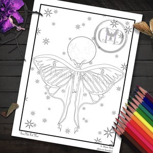 Luna Moth Coloring Page / Moon Phase Printable / Digital Download / JPG Adult Coloring Pages / Full Moon Child / Green Moth / Mooncycle image 1