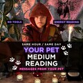 Pet Psychic Reading, Telepathic Animal Communication, Deceased Pet Reading, No Tools Pet Reading, Dog and Cat Medium Connection product logo