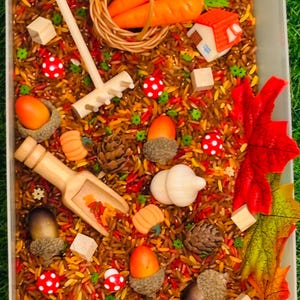 May include: A rectangular sensory bin filled with brown and orange rice, featuring miniature plastic carrots in a woven basket, a small house, wooden rake, scoop, acorns, pinecones, red and white mushrooms, wooden cubes, and artificial autumn leaves.