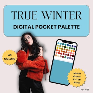 True Winter Color Palette | Instant Download Cool Winter | Digital True Winter Colour Palette Swatch