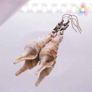 Puede incluir: Un par de pendientes con diseño de concha marina. Los pendientes están hechos con conchas marinas naturales y tienen un gancho de metal de color bronce.