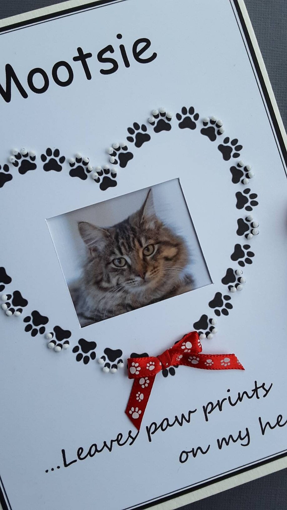 Personalized Pet Keepsake Photo Album Animal Lovers Pet Etsy