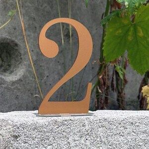 May include: A copper-colored metal number "2" stands on a weathered gray stone. The number has a decorative, stylized font. Green leaves and a concrete wall form the background.