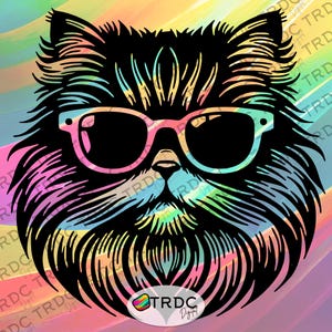 Perzische kat draagt zonnebril SVG - ingewikkeld wieden, Cricut, silhouet vinyl, digitale bestanden, Perzische kattenliefhebber, dierenliefhebber