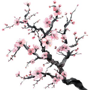 Akvarell Sakura-gren Clipart: Körsbärsblomma PNG (digital nedladdning)