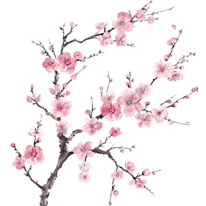 Può includere: Illustrazione ad acquerello di un ramo di fiori di ciliegio in fiore. L'immagine presenta delicati fiori e boccioli rosa su rami marrone scuro, su sfondo bianco. L'opera d'arte evoca la primavera e la bellezza naturale.