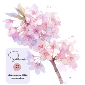 27 Sakura clipart,sakura branch,cherry blossom,watercolor,flower clip art ,300 DPI,PNG files,Digital download,commercial use,junk journaling