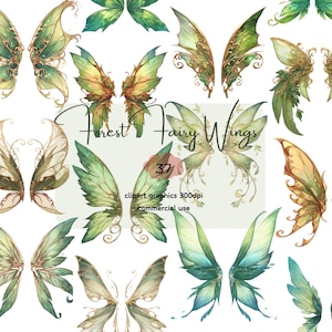 Watercolor Fairy Wings Clipart: Green Angel & Butterfly Wings (PNG Digital Download)