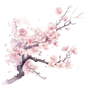 8 Sakura clipart,soft sakura branch,cherry blossom,Pink,watercolor,300 DPI,PNG files,Digital download,commercial use,junk journaling