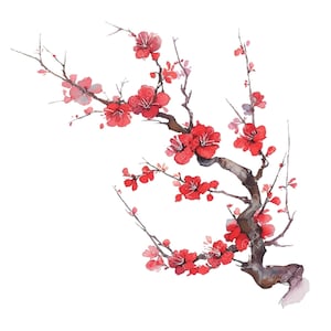 19 imágenes prediseñadas de Sakura roja, rama de Sakura, flor de cerezo, acuarela, descarga digital, uso comercial, diario basura